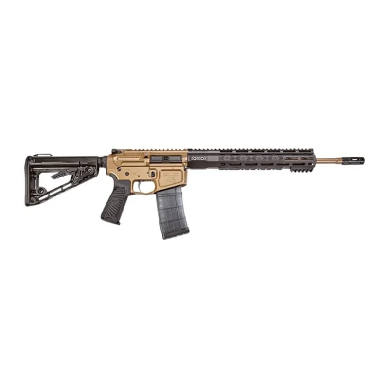 AR-15 RANGER