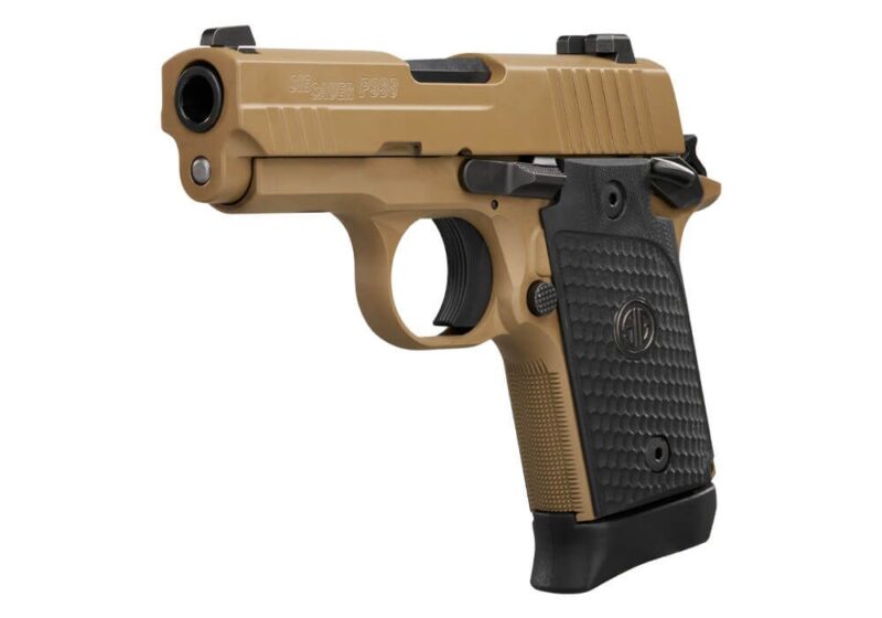 P938 EMPEROR SCORPION